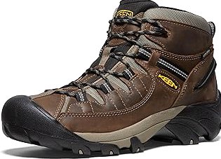 Men's Newton Ridge Plus Ii Waterproof Hiking Shoe product image